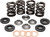 KPMI Racing Valve Spring Kit 96-96000