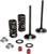 KPMI Intake Valve Spring Kit 30-31210