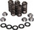 KPMI Racing Valve Spring Kit 80-80750