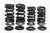 KPMI Racing Valve Spring Kit 30-32800