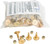 WOODYS Gold Digger Carbide Traction Master Stud 1.075" 96/Pk GDP6-1075-B