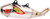 PRO CIRCUIT T-6 Slip-On 01122525A