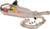 PRO CIRCUIT Ti-6 Bc Pro Titanium System W/ Titanium End-Cap 0332645BC