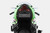 RIZOMA Flat-Out Fender Eliminator Kaw PTU052B