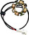 RICK'S MOTORSPORT ELECTRIC Stator - KTM 21-0103