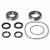 PIVOT WORKS Rear Wheel Bearing Kit Kawasaki PWRWK-K30-000