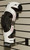 POD Knee Brace Slatwall Display 664-0598