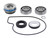 Vertex Water Pump Rebuild Kit 821220