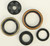 Vertex Oil Seal Set 822347
