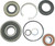 WSM Pump Repair Kit Kaw 003-606