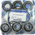 WSM Jet Pump Repair Kit Kaw 003-614-02