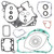Vertex Complete Gasket Set With Oil Seals 811549