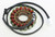 Rick's Motorsport Electric Stator 21-240