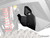 Polaris RZR Pro S Inner Fender Guards -