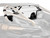 Polaris RZR Pro R Rear Windshield - 2 Seat with Rockford Fosgate Audio - 2025+ - Standard Polycarbonate - Light Tint -