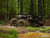 SuperATV Assassinator UTV / ATV Mud Tires - 28x8-14