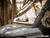 Can-Am Defender HD5 Vented Full Windshield - Flip-Up Vent Panel - Scratch Resistant Polycarbonate - Clear