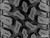 Mounted Tires - AT Incursion - 30x10-15 - 4/156 - Healy Lock Series - Beadlock - 15 inch - 7 inch -