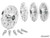 GDP Portal Universal Truck/Jeep Hubs -