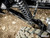 Can-Am Maverick R High Clearance Rear Trailing Arms - Without Reinforcement Brackets