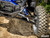 Polaris RZR Pro S Sidewinder A-Arms - Super Duty 300M Ball Joints