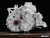 Polaris RZR XP 1000 Complete Geared-Reverse Transmission - 1334348 - Gear Reduction - 37.5%