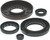 QuadBoss Gasket Set With Oil Seal 564347