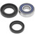 QuadBoss 07-14 CFMOTO CForce 500 Lower Steering Bearing Kit 413105