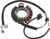 QuadBoss Stator 463525