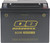 QuadBoss Maintenance-Free AGM Battery QBX20HL-FA 401385