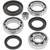 QuadBoss 85-87 Honda ATC250ES/SX Rear Differential Bearing & Seal Kit 413384