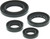 QuadBoss Oil Seal Set 564348