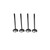 Kawasaki Teryx 750 KRF750 08-12 Exhaust Valve Kit