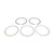 Polaris Piston Ring Set for 900 and 1000 Models (2015+)