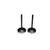Yamaha Grizzly 700 (2019-2023) Intake Valve Kit