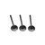 Yamaha Rhino 660 Intake Valve Kit 2004-2007