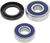 All Balls Wheel Bearing Kit - Rear - Yamaha Big Wheel/Suzuki Boulevard 25-1244