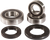 Pivot Works Wheel Bearing Kit - Rear - Gsx-R 600/750 PWRWS-S42-000