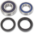 Moose Offroad Wheel Bearing Kit - Rear - Honda Trx 420/500/520 25-1689
