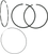 Wsm Piston Rings - 99.96 Mm - Sea-Doo 010-960