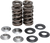Kibblewhite Valve Spring Kit - 0.480" Lift - Yamaha 80-80410
