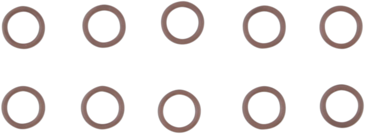 Cometic Cam Support O-Ring C9631