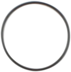 Cometic Starter Housing O-Ring - Big Twin C9433F1