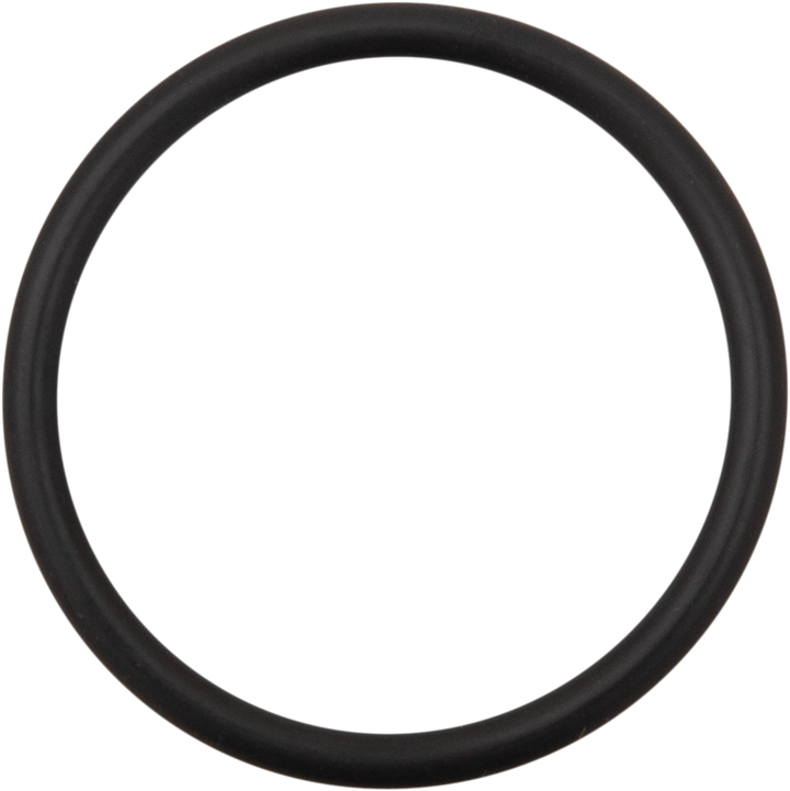 James Gasket Alternator Cap Cover O-Ring JGI-ST-11900029