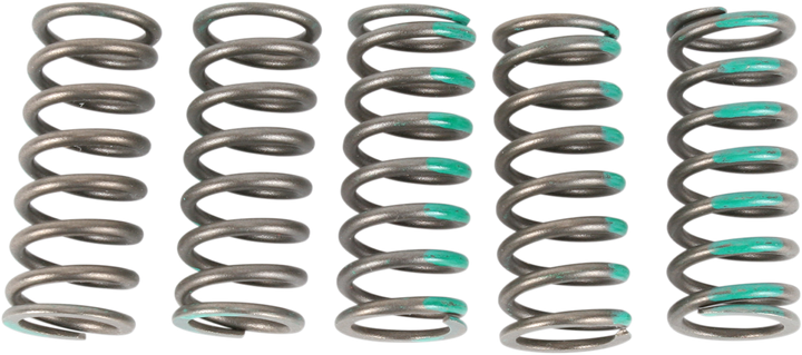 Pro Circuit Clutch Springs - Kx 450F CSK19450-CS