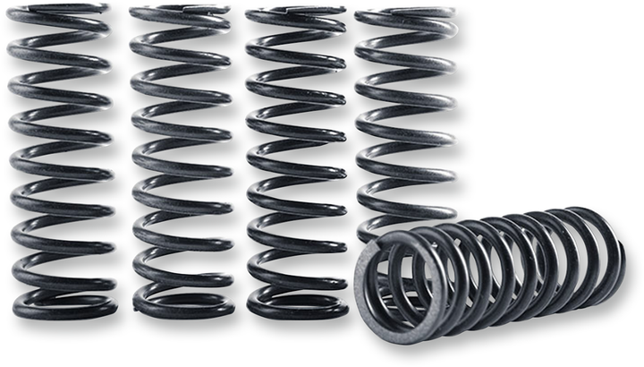 Hinson Racing Hi-Temp Clutch Spring Kit - Kawasaki CS264-5-0409