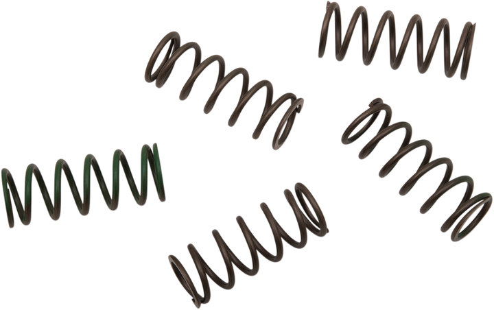 Hinson Racing Hi-Temp Clutch Spring Kit - Honda/Husqvarna/Ktm/Suzuki CS294-5-0109