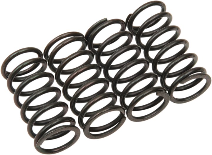 Barnett Clutch Spring Kit 501-38-04132