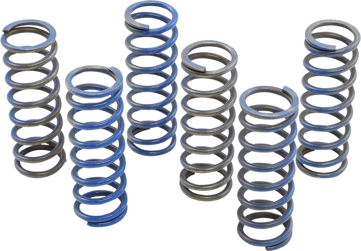 Hinson Racing Hi-Temp Clutch Spring Kit - Honda CS130-6-8602