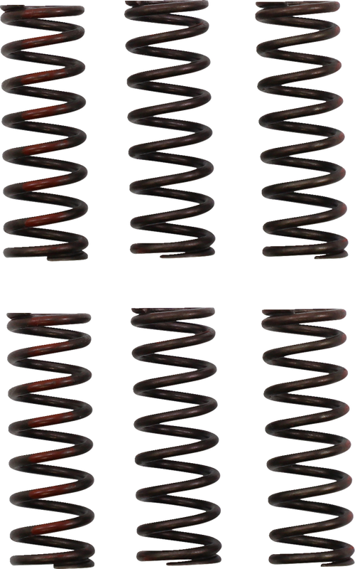 Pro Circuit Clutch Springs - Crf 450R CSH21450-CS